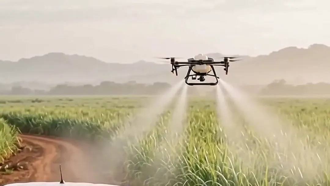 Agricultural drone spraying a sugarcane field